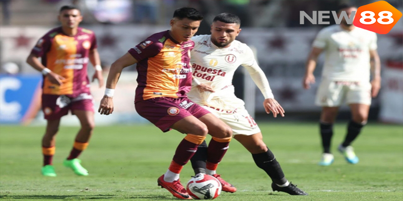 Ví dụ kèo chấp 1 hoà trận AD Tarma vs Los Chankas