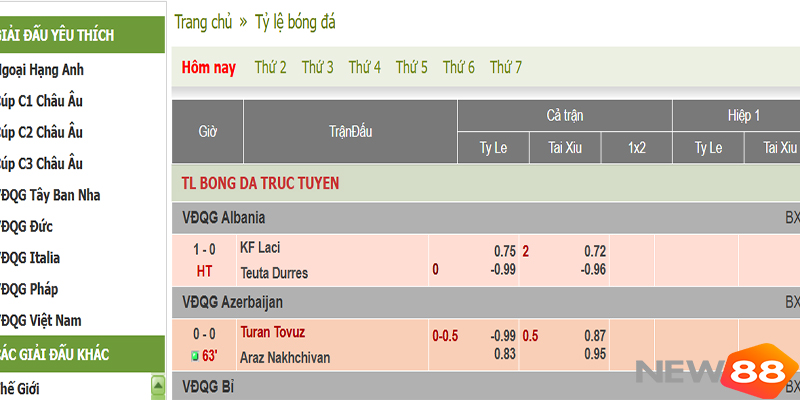 Kèo Euro Là Gì? New88 Kinh Nghiệm Chốt Kèo Hay Giúp Tăng Phần Thắng