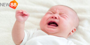 Mơ Thấy Trẻ Con Đánh Con Gì? New88 Giải Mã Giấc Mơ Và Con Số May Mắn